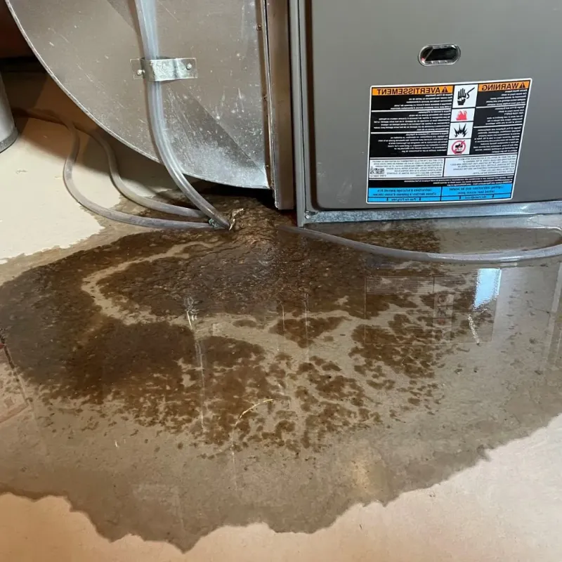 Pipe Burst and Leak Restoration in Bloomfield, NM